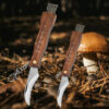 Two folding mushroom knife with brush models of differing sizes, displayed against a forest floor background.