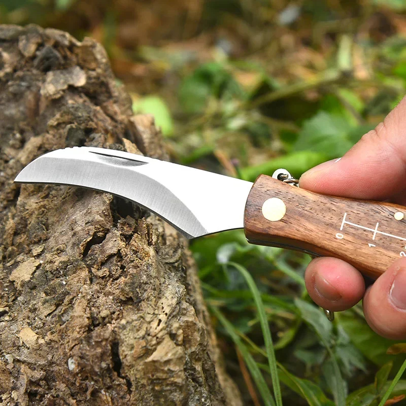 mushroom-knife-10