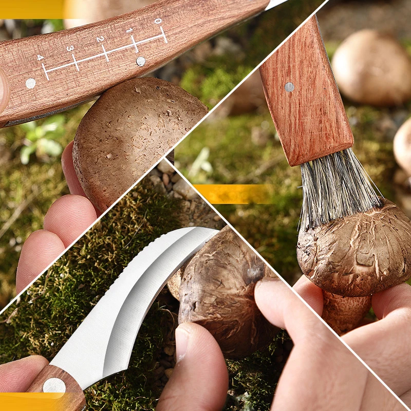 mushroom-knife-2