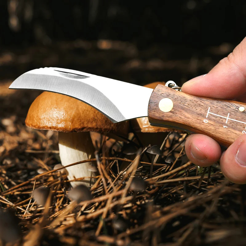 mushroom-knife-6