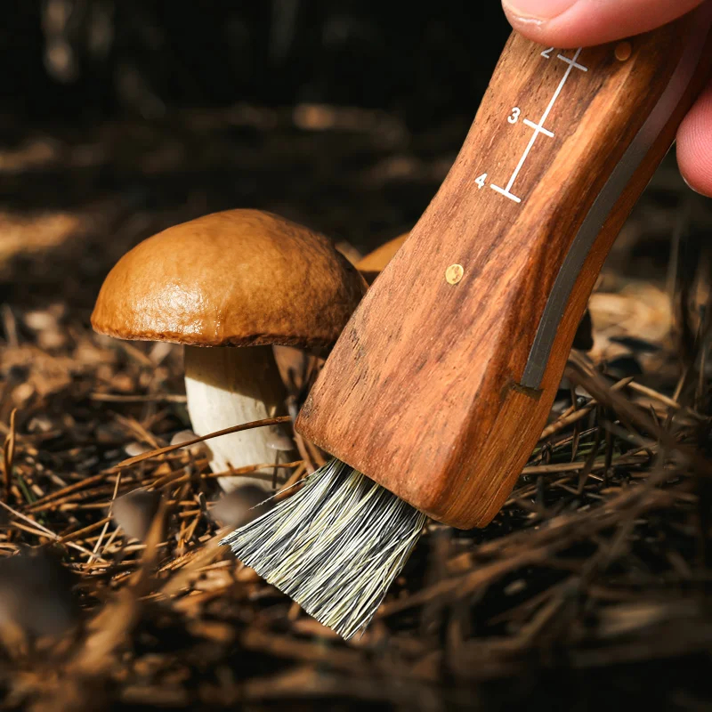 mushroom-knife-9