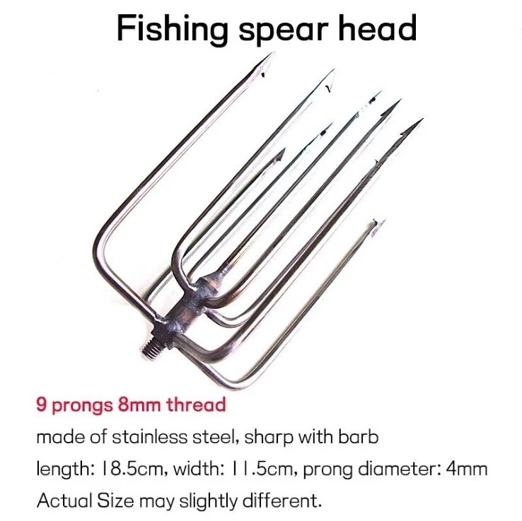spear-fishing-tips-2