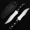 Two semi serrated hunting knives and sheath.