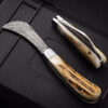 A mushroom foraging knife with a curved, Damascus steel blade and a deer antler handle.