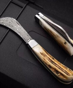A mushroom foraging knife with a curved, Damascus steel blade and a deer antler handle.