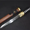 A double edge Tanto knife displayed next to its sheath.