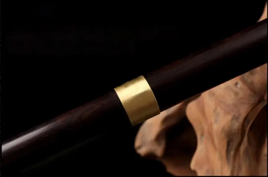 dragon-cane-sword-10