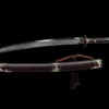 A Chinese short sword displayed next to its decorative scabbard.