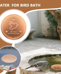 A red bird bath copper disk, with a use-case example of a bird using a bird bath with a pure copper disk.