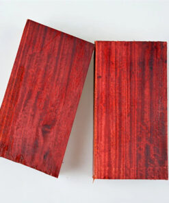 Two blocks of red blood sandalwood timber.
