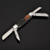 A 4 blade sheepsfoot pocket knife.