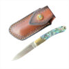 A sharp pocket knife displayed next to a leather knife pouch.