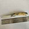 A bone handle pocket knife displayed next to a steel ruler.