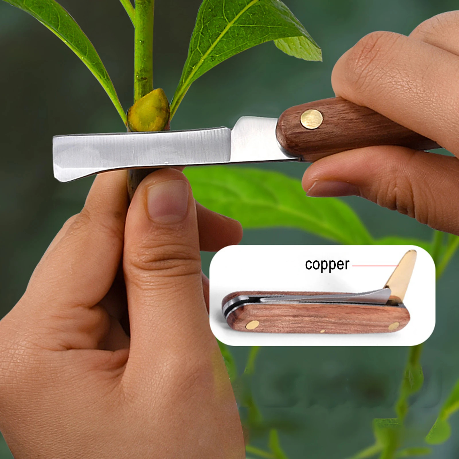 budding-knife-11