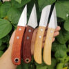 A man's hand holding four professional garden knife models of differing design and color.