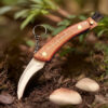 A mushroom knife with brush, displayed against a forest floor background.