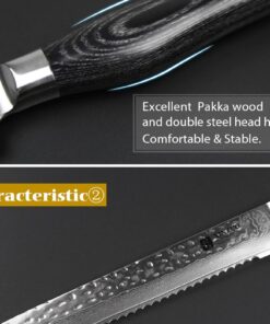 Professional Damascus Steel Kitchen Bread Knife [KW=-Bread Knife-] 10