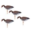 Goose Decoys Canada Goose Shell [KW=-Goose Decoys-]  1