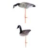 Canada Goose Shell Canada Goose Decoys [KW=-Canada Goose Shell-]  1