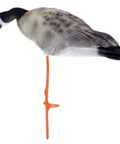 Canada Goose Shell Canada Goose Decoys [KW=-Canada Goose Shell-]  3