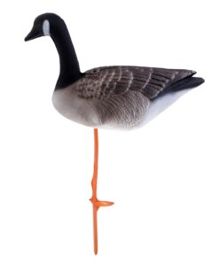 Canada Goose Shell Canada Goose Decoys [KW=-Canada Goose Shell-]  5